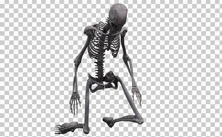 Human Skeleton Bone Joint Homo Sapiens PNG, Clipart, Arm, Black, Black And White, Bone, Bone Joint Free PNG Download