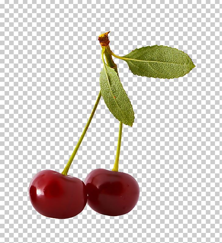 Sweet Cherry Fruit Auglis PNG, Clipart, Album, Auglis, Berry, Bilberry, Cherry Free PNG Download