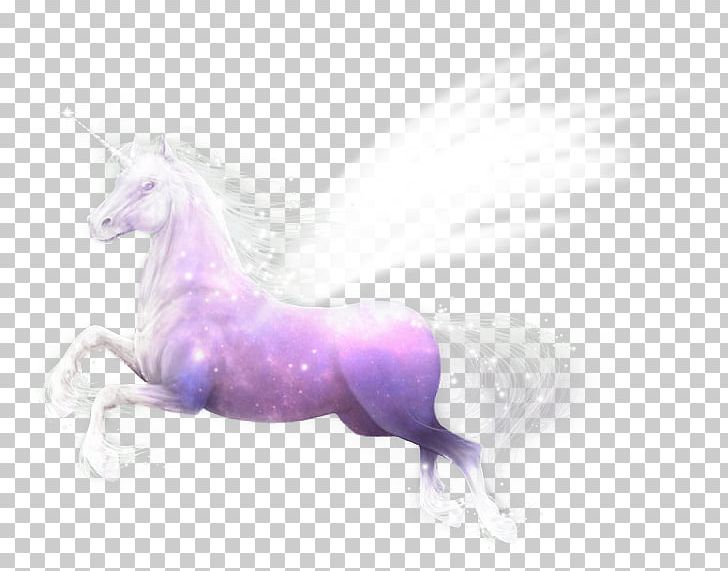 Unicorn Mustang Freikörperkultur Purple Yonni Meyer PNG, Clipart, Fictional Character, Horse, Horse Like Mammal, Licorne, Mane Free PNG Download