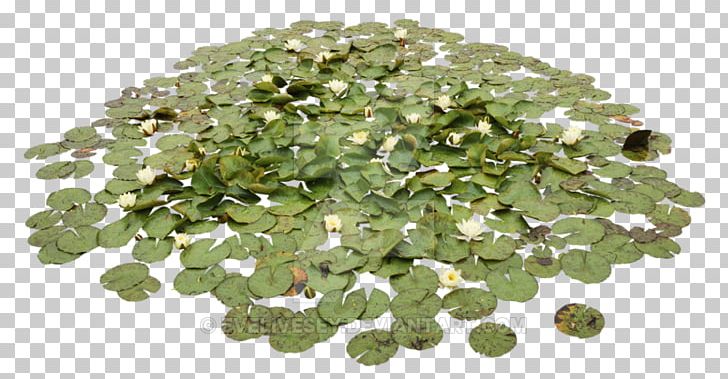 Water Lilies Pond Aquatic Plants PNG, Clipart, Aquatic Plants, Clip Art, Computer Icons, Gemstone, Grass Free PNG Download