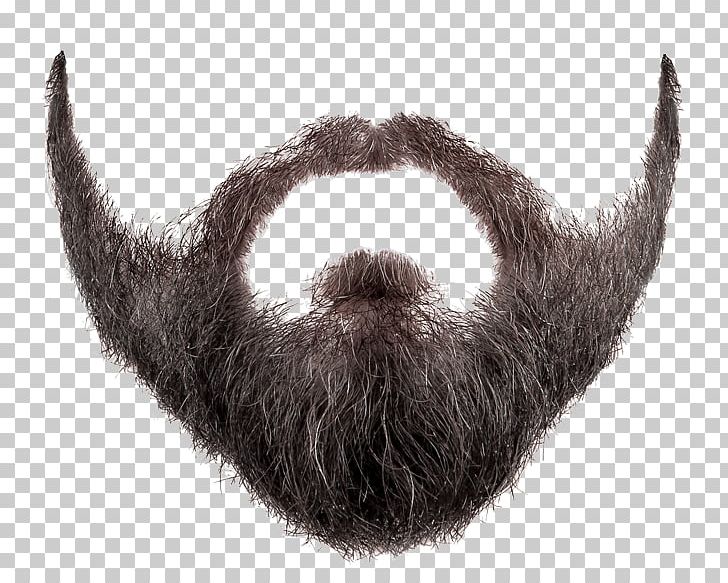 Beard PNG, Clipart, Beard, Bigote, Computer Icons, Fur, Horn Free PNG Download