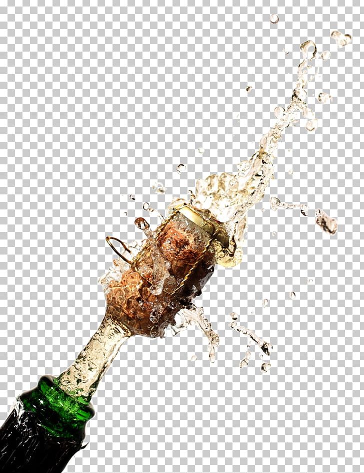 Champagne Glass Sparkling Wine Drink Bottle PNG, Clipart, Alcoholic Drink, Bartender, Bottle, Bung, Champagne Free PNG Download