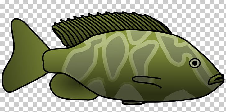 Fish YouTube PNG, Clipart, Animals, Fauna, Fish, Fish Fin, Green Free PNG Download