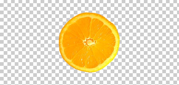 Orange Juice Bitter Orange Orange Slice PNG, Clipart, Cere, Citric Acid, Citrus, Clementine, Food Free PNG Download