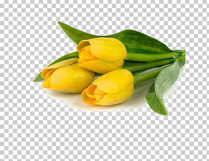 Tulip Flower Bouquet Yellow Polyvore PNG, Clipart, Creative Flowers, Diary, Film, Flower, Flowers Free PNG Download