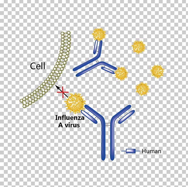 Adalimumab Tumor Necrosis Factor Alpha Tumor Necrosis Factor Superfamily TNF Inhibitor Pharmaceutical Drug PNG, Clipart, Adalimumab, Angle, Cell, Flower, Line Free PNG Download