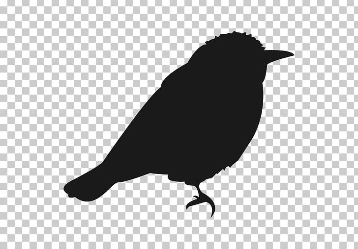 Bird Silhouette Graphics Euclidean Passerine PNG, Clipart, American Crow, Beak, Bird, Black And White, Crow Free PNG Download