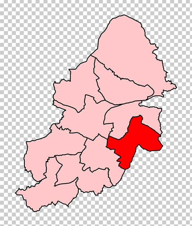 Birmingham Selly Oak Birmingham Ladywood Electoral District PNG, Clipart, Area, Birmingham, Birmingham Ladywood, Circonscription, Election Free PNG Download