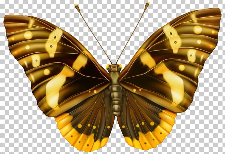 Butterfly PNG, Clipart, Arthropod, Brush Footed Butterfly, Butterfly, Download, Encapsulated Postscript Free PNG Download