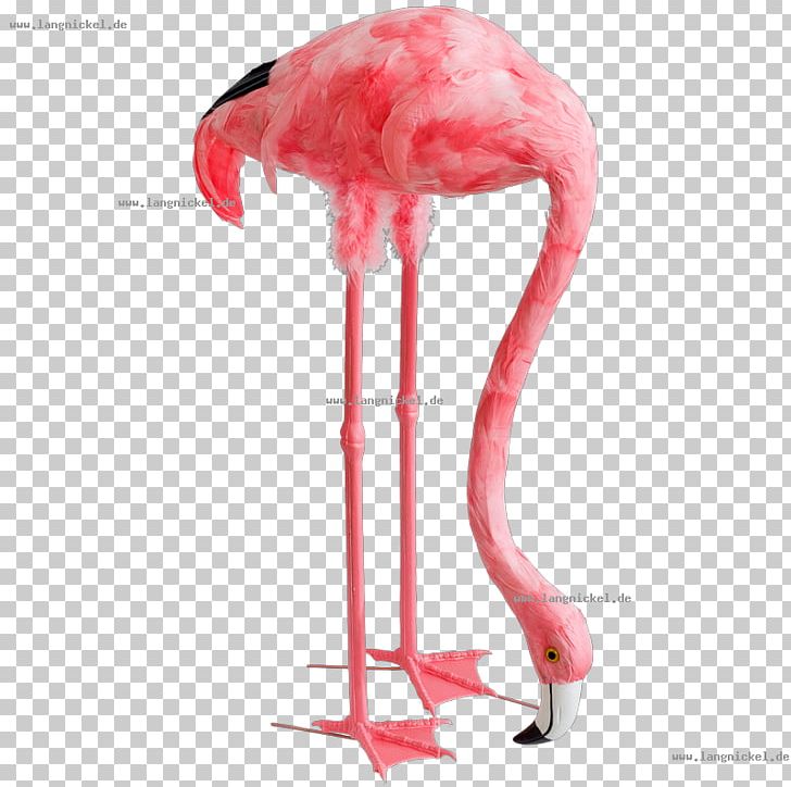 Flamingos Furniture Beak Industrial Design PNG, Clipart, Beak, Bedroom, Bird, Color, Feather Free PNG Download