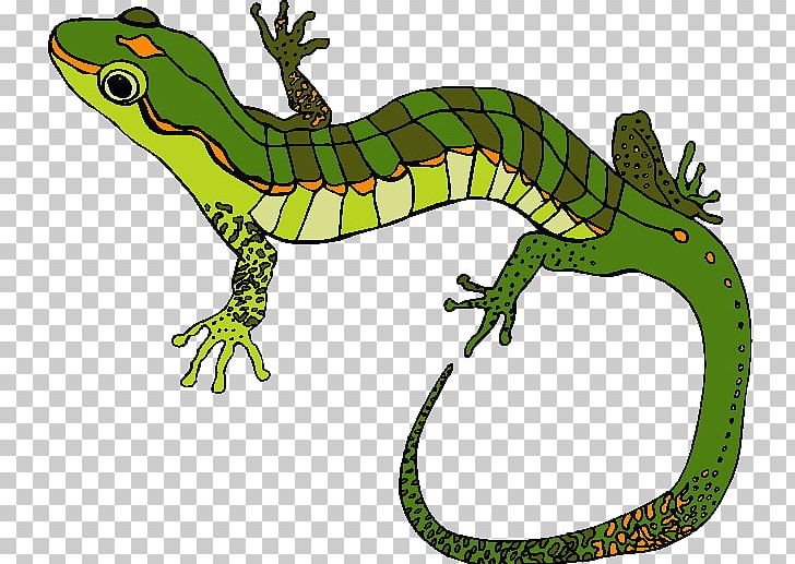 Lizard 两栖爬行 PNG, Clipart, Amphibian, Animal, Animal Figure, Animals, Art Free PNG Download