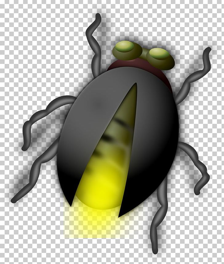 Beetle Firefly PNG, Clipart, Animals, Black Background, Black Board, Black Border, Black Hair Free PNG Download
