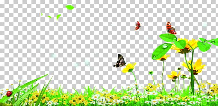 Butterfly Garden Lawn PNG, Clipart, Background Green, Butterflies And Moths, Butterfly, Computer Wallpaper, Drawing Free PNG Download