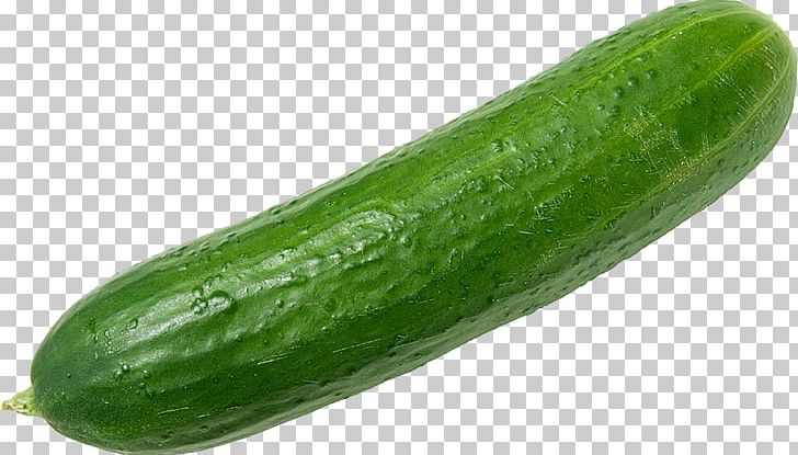 Cucumber Vegetable Organic Food Zucchini Fruit PNG, Clipart, Armenian Cucumber, Asparagus, Cucumber, Cucumber Gourd And Melon Family, Cucumber Mosaic Virus Free PNG Download