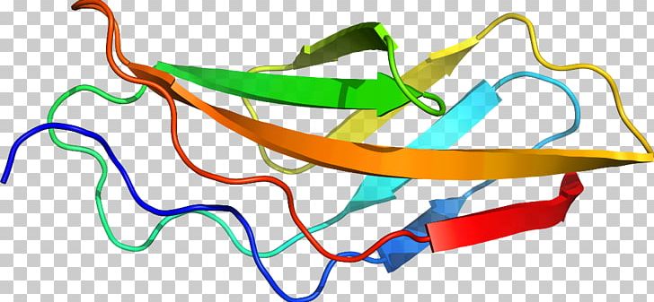 Line Point PNG, Clipart, Area, Art, Artwork, Fibronectin, Leaf Free PNG Download