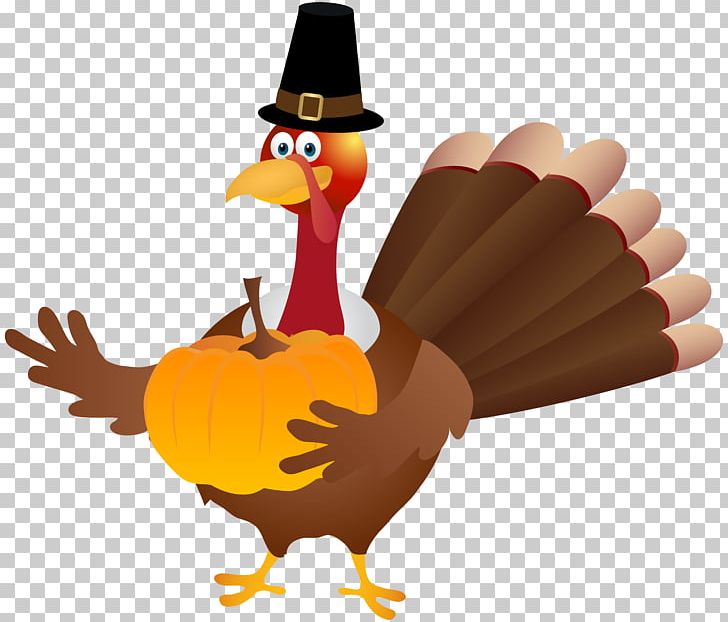 Turkey Thanksgiving PNG, Clipart, Beak, Bird, Chicken, Clipart, Clip Art Free PNG Download