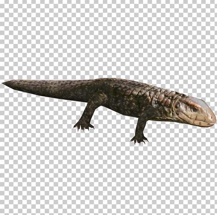 Zoo Tycoon 2 Caiman Lizards Reptile Gecko PNG, Clipart, Amphibian, Animal, Animals, Caiman, Caiman Lizards Free PNG Download