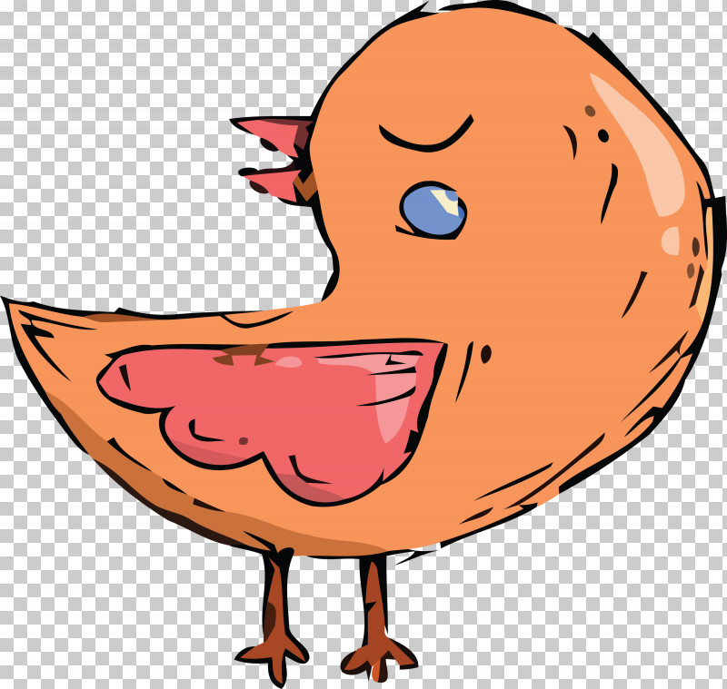 Birds Ducks Chicken Water Bird Beak PNG, Clipart, Beak, Birds, Cartoon, Cartoon Bird, Chicken Free PNG Download