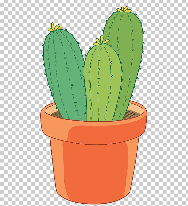 Cactaceae Plant Euclidean PNG, Clipart, Bonsai, Cactus, Cactus Vector, Cartoon, Caryophyllales Free PNG Download