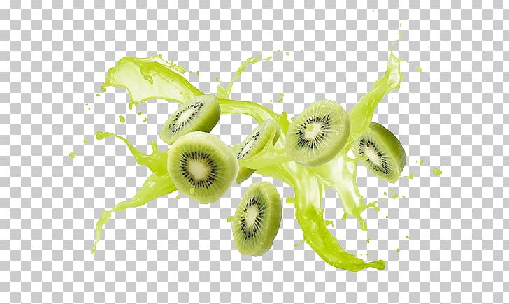 Kiwifruit PNG, Clipart, Branch, Cartoon Kiwi, Computer Wallpaper, Creative, Desktop Wallpaper Free PNG Download