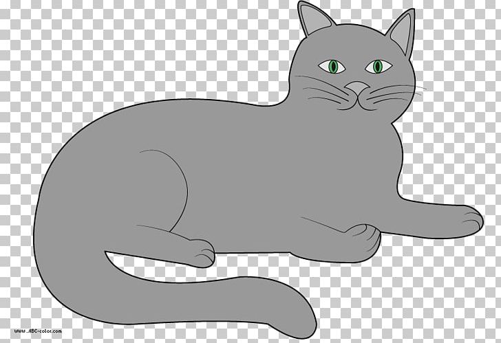 Korat Kitten Whiskers Domestic Short-haired Cat Black Cat PNG, Clipart, Animals, Black, Black And White, Black Cat, Carnivoran Free PNG Download