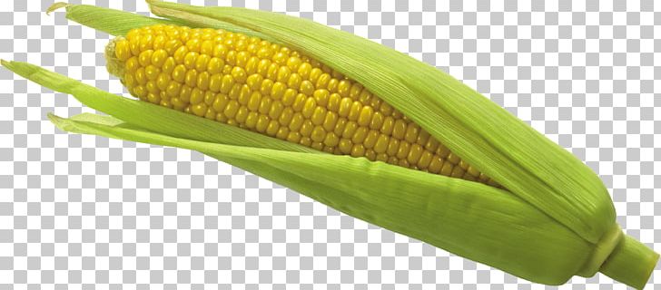 Maize Corn On The Cob PNG, Clipart, Bikinibody, Celeriac, Cereal, Clipping Path, Commodity Free PNG Download