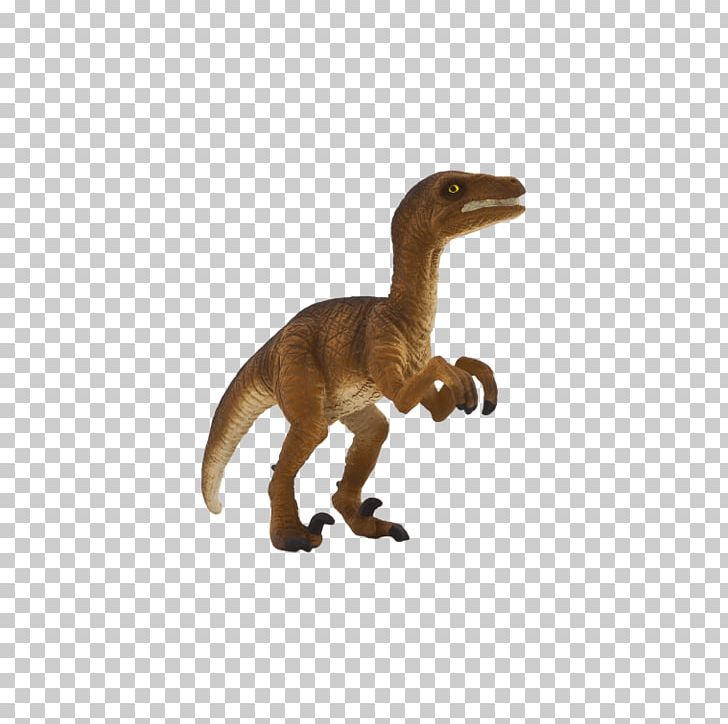 Velociraptor Tyrannosaurus Dinosaur Size Allosaurus PNG, Clipart, Allosaurus, Animal, Animal Figure, Dinosaur, Dinosaur Size Free PNG Download