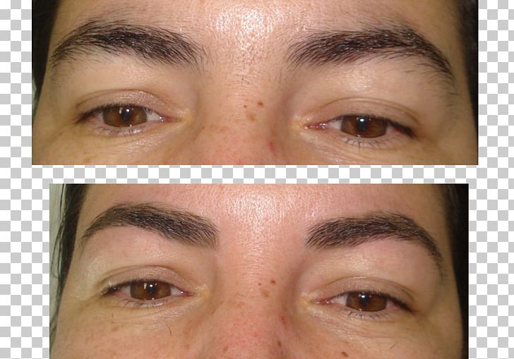 Eyelash Extensions Eye Shadow Eye Liner Lip Liner PNG, Clipart, Artificial Hair Integrations, Cheek, Chin, Closeup, Closeup Free PNG Download