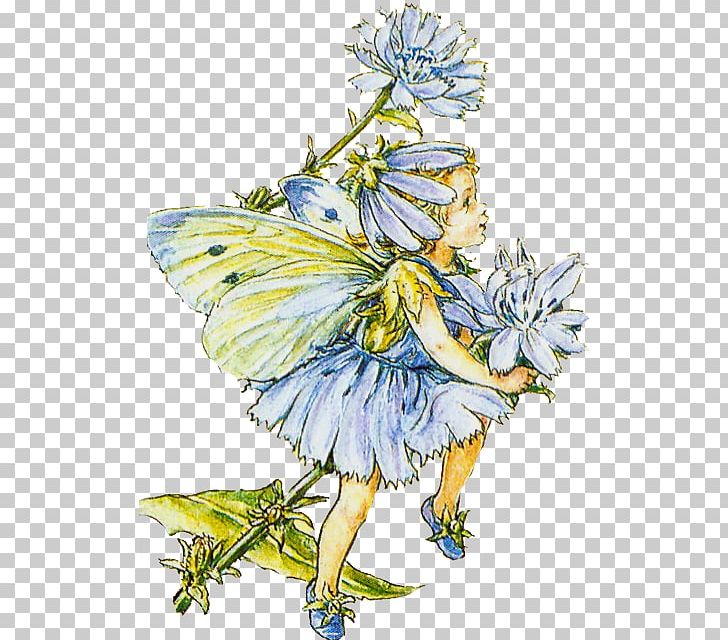 Flower Fairies Of The Spring The Book Of The Flower Fairies Fairy Cross-stitch PNG, Clipart, Art, Book Of The Flower Fairies, Cicely Mary Barker, Costume Design, Crossstitch Free PNG Download