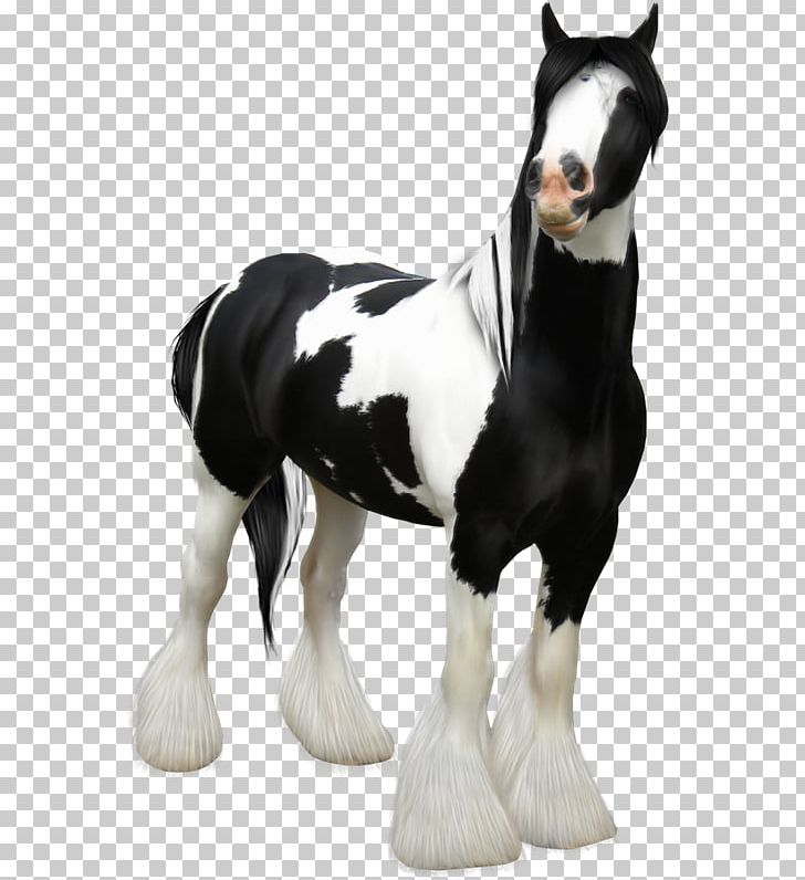 Horse Black And White PNG, Clipart, Aaa, Animaatio, Animal Figure, Black And White, Dog Breed Free PNG Download