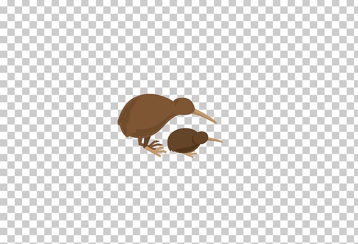 New Zealand Photography PNG, Clipart, Adobe Illustrator, Animals, Beak, Bird, Bird Cage Free PNG Download