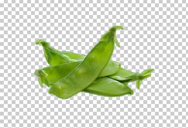Snow Pea Snap Pea Vegetable Edamame Green Bean PNG, Clipart, Bean, Beans, Broad Bean, Commodity, Edamame Free PNG Download