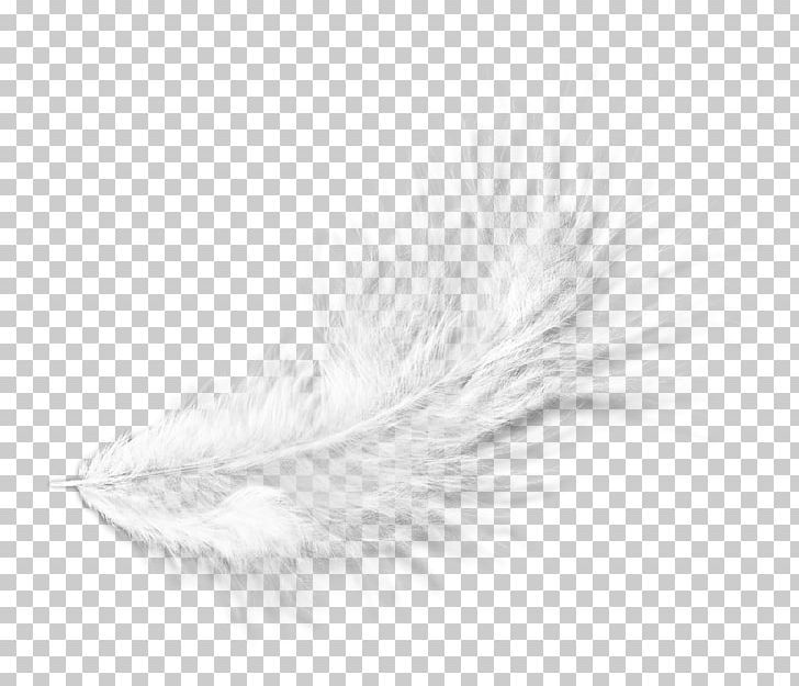 White Feather Black Pattern PNG, Clipart, Animal, Animal Feather, Black, Black And White, Feather Free PNG Download