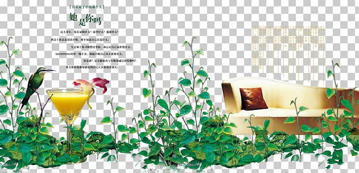 Advertising Poster Couch Real Estate PNG, Clipart, Bird, Business, Couch, Flower, Flower Arranging Free PNG Download