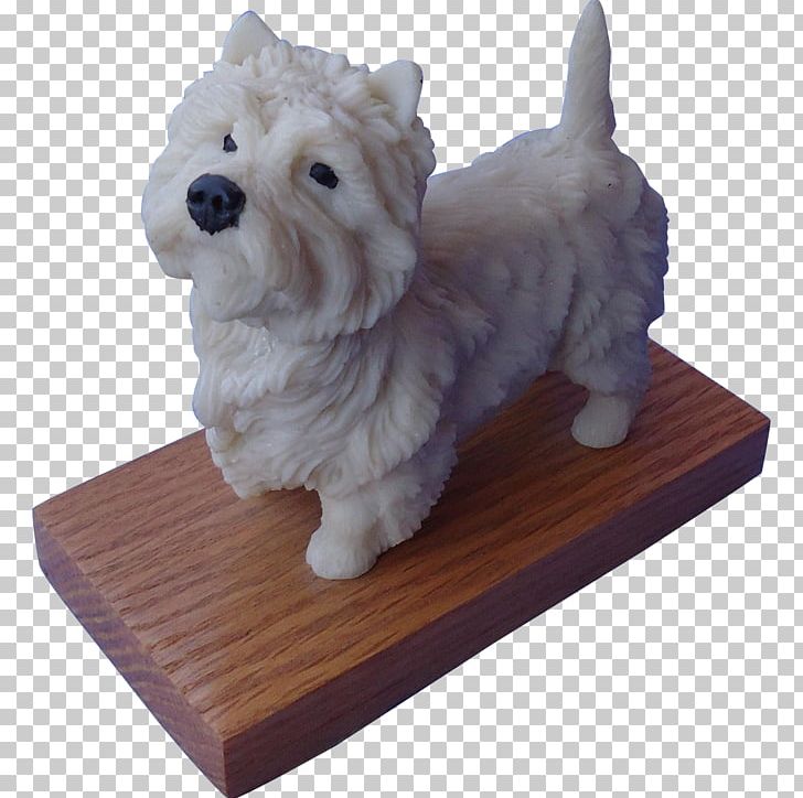 Norwich Terrier West Highland White Terrier Maltese Dog Lhasa Apso Yorkshire Terrier PNG, Clipart, Animals, Borzoi, Breed, Carnivoran, Coat Free PNG Download