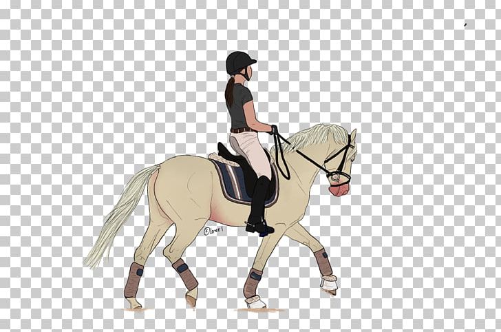 Stallion Mustang Pony Mare Dressage PNG, Clipart, Animal Training, Bridle, English Riding, Equestrian, Equestrianism Free PNG Download