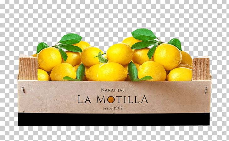 Clementine Lemon Mandarin Orange Grapefruit Key Lime PNG, Clipart, Calamondin, Citric Acid, Citron, Citrus, Citrus Sinensis Free PNG Download