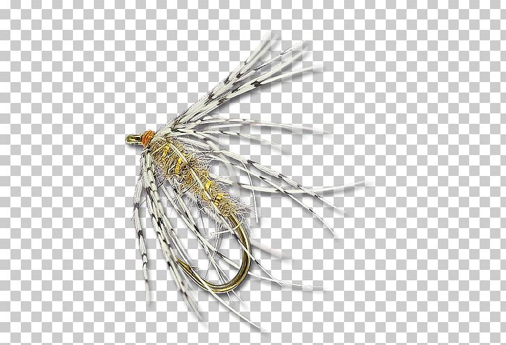 Fishing Bait PNG, Clipart,  Free PNG Download
