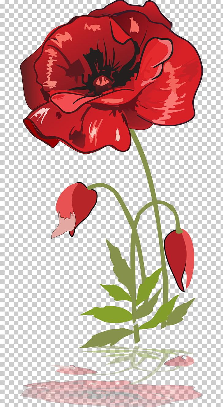 Poppy Garden Roses Drawing PNG, Clipart, Armistice Day, Art, Coquelicot, Cut Flowers, Digital Art Free PNG Download
