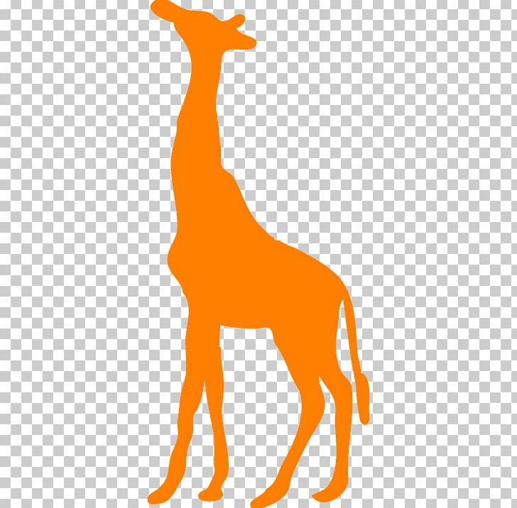 Shape Northern Giraffe Graphics PNG, Clipart, Animal, Animal Figure, Area, Art, Carnivoran Free PNG Download