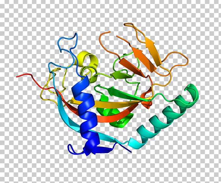Structural Genomics Protein Structure Biology PNG, Clipart, Area, Art, Artwork, Bioinformatics, Biology Free PNG Download