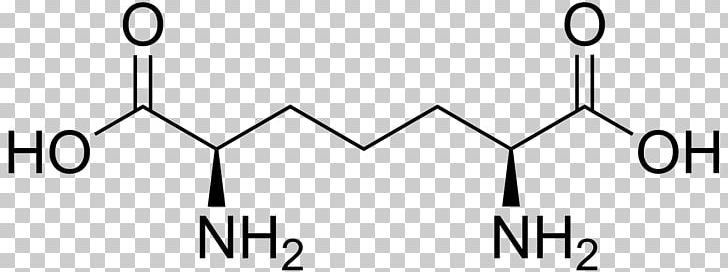 Amino Acid Glutaconic Acid Carboxylic Acid Aspartic Acid PNG, Clipart, Acid, Alanine, Amino Acid, Angle, Area Free PNG Download