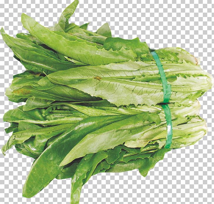 Celtuce Romaine Lettuce Leaf Vegetable PNG, Clipart, Autumn Leaf, Celtuce, Chard, Choy Sum, Food Free PNG Download