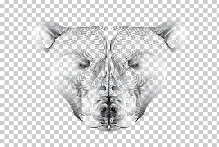 Drawing Monochrome Photography Face Snout PNG, Clipart, Animal, Black And White, Bone, Carnivora, Carnivoran Free PNG Download