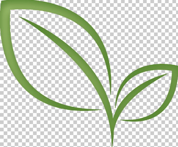 Green Tea Matcha Résumé PNG, Clipart, Angle, Business, Circle, Cover Letter, Essay Free PNG Download