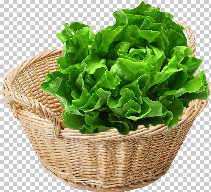 Romaine Lettuce Leaf Vegetable Organic Food Spring Greens PNG, Clipart, Basket Of Bananas, Butterhead Lettuce, Cruciferous Vegetables, Eating, Flowerpot Free PNG Download
