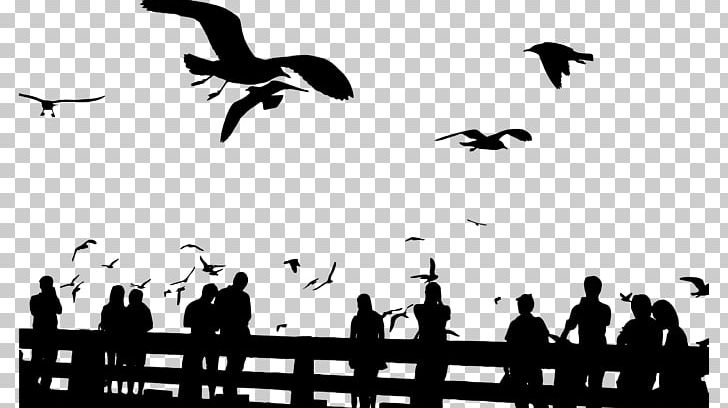 Bird Flight Silhouette Flock PNG, Clipart, Animal Migration, Animals, Beak, Bird, Bird Flight Free PNG Download