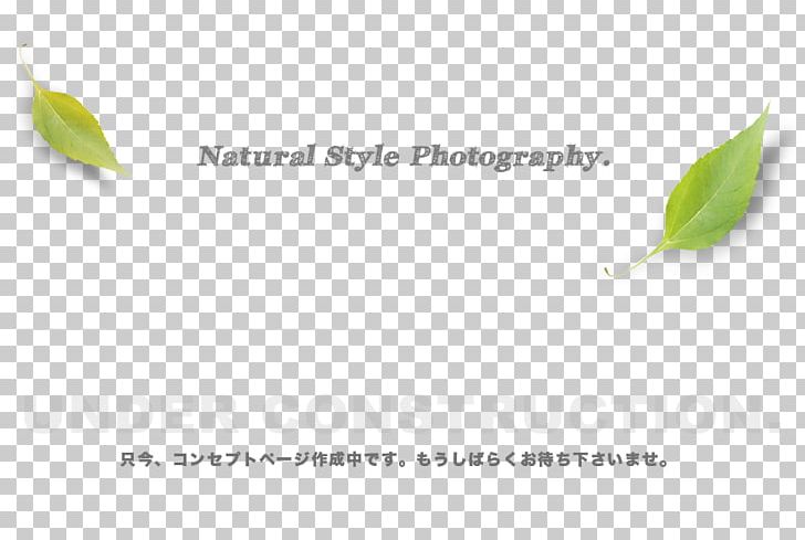 Brand PNG, Clipart, Art, Brand, Grass, Leaf, Leef Free PNG Download