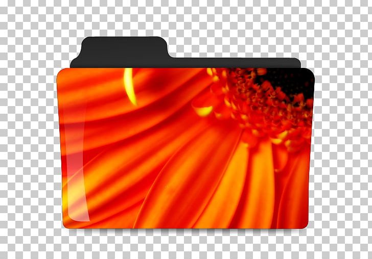 High-definition Television Flower High-definition Video 1080p PNG, Clipart, 4k Resolution, 720p, 1080p, Archive Folder, Archive Folders Free PNG Download