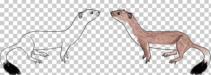 Drawing Stoat Mammal Sketch PNG, Clipart, Animal Figure, Artwork, Camel Like Mammal, Carnivora, Carnivoran Free PNG Download